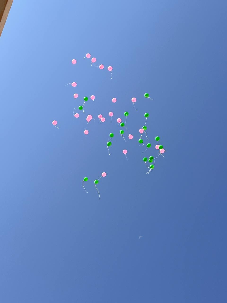 البالون بسماء الكلية.jpg